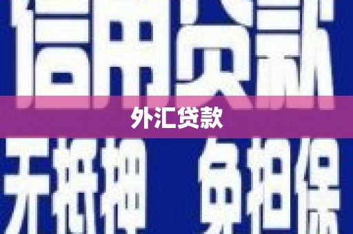 黄冈外汇贷款