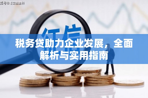 黄冈税务贷助力企业发展，全面解析与实用指南