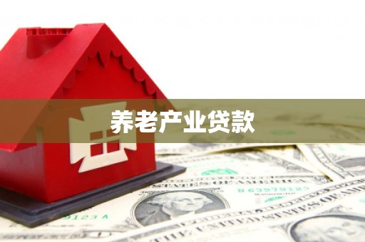 黄冈养老产业贷款