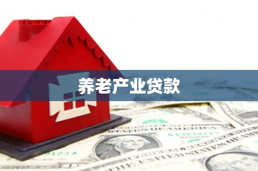 黄冈养老产业贷款