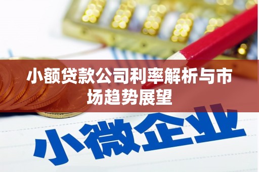 黄冈小额贷款公司利率解析与市场趋势展望