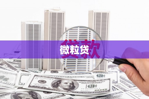 黄冈微粒贷