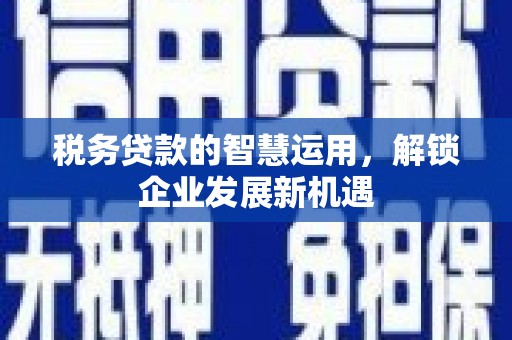 黄冈税务贷款的智慧运用，解锁企业发展新机遇